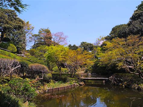 東京 龍脈|【東京】池田山公園｜龍穴のパワースポット 池田山公